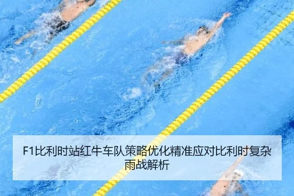 bi-li-shi-zhan-hong-niu-che-dui-ce-lve-you-hua-jing-zhun-ying-dui-bi-li-shi-fu-za-yu-zhan-jie-xi-3-938.jpg