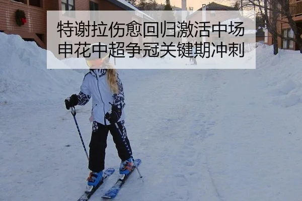 特谢拉伤愈回归激活中场 申花中超争冠关键期冲刺