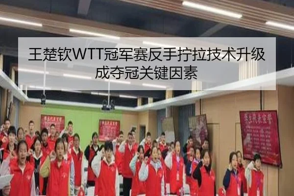 王楚钦WTT冠军赛反手拧拉技术升级成夺冠关键因素