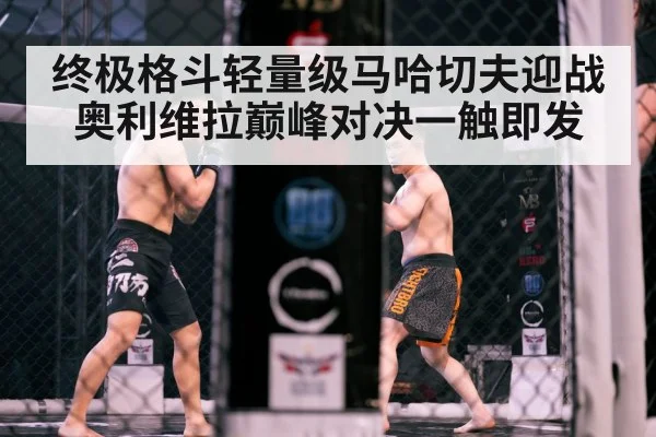 终极格斗轻量级马哈切夫迎战奥利维拉巅峰对决一触即发